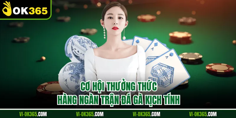 Cơ hội thưởng thức hàng ngàn trận đá gà kịch tính